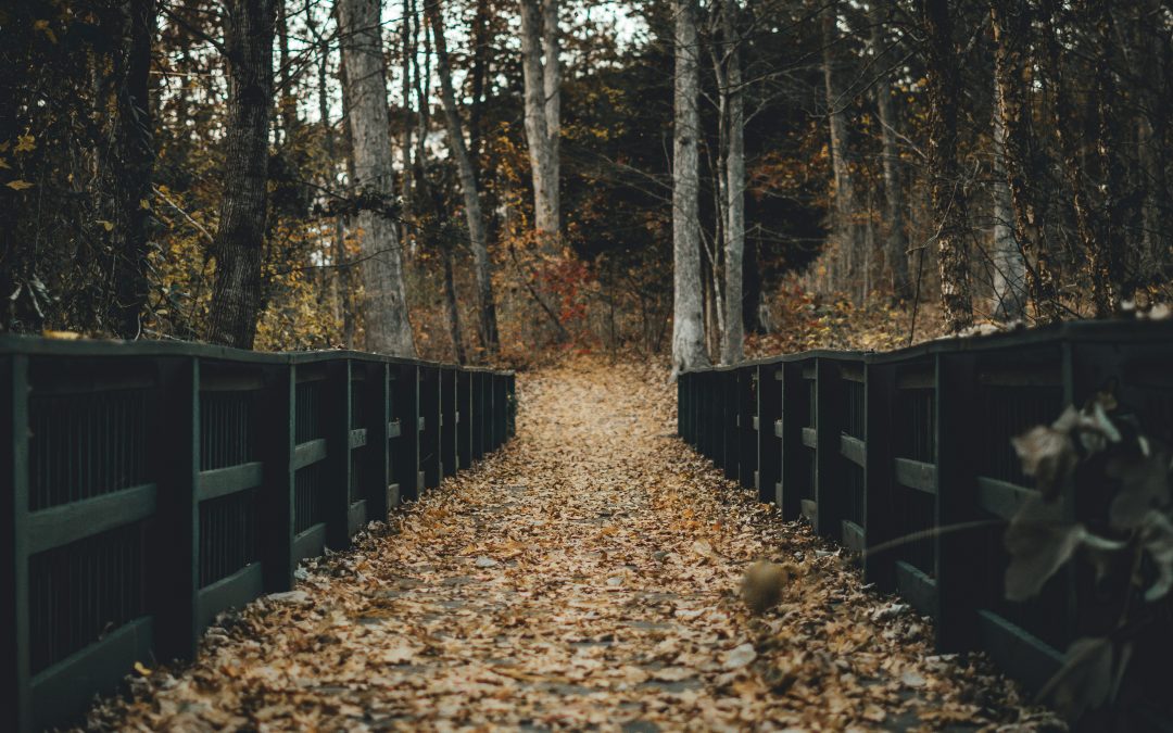 Beyond Talk Therapy, Into the Wilds of Ritual